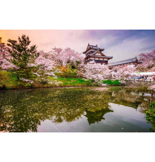 Фотообои Япония в замке Корияма в весенний сезон
