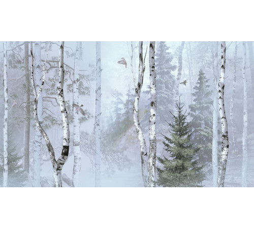 Фотообои Березовый лес