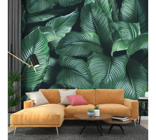 Фотообои Tropic