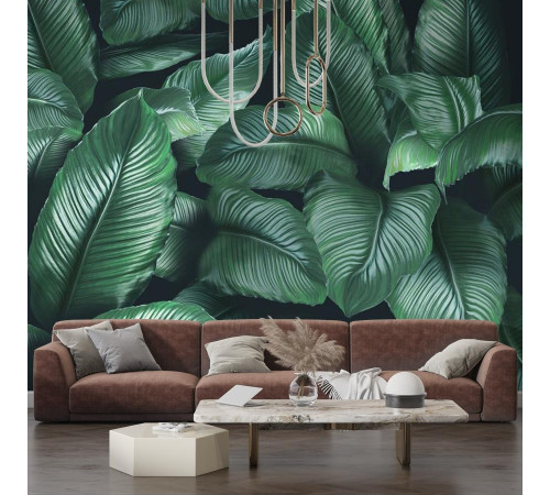 Фотообои Tropic