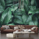 Фотообои Tropic