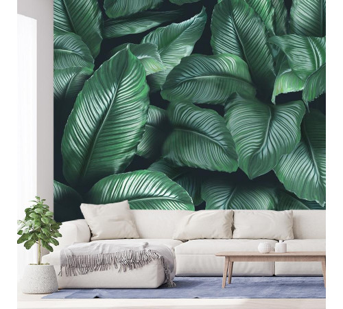 Фотообои Tropic