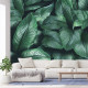 Фотообои Tropic