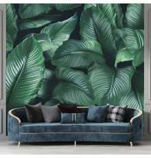 Фотообои Tropic