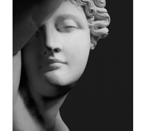 Фотообои Голова статуи на черном