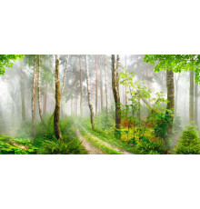 Фотообои Лес расширяющий пространство