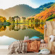 Фотообои Англия роскошная