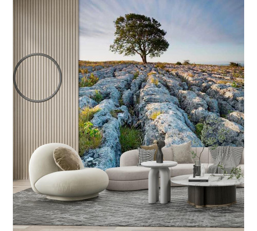 Фотообои Англия дерево в горах