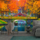 Фотообои Александровский парк