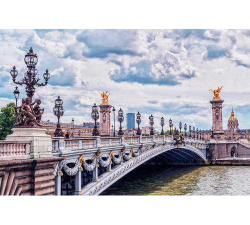 Фотообои Мост в Париже и серое небо